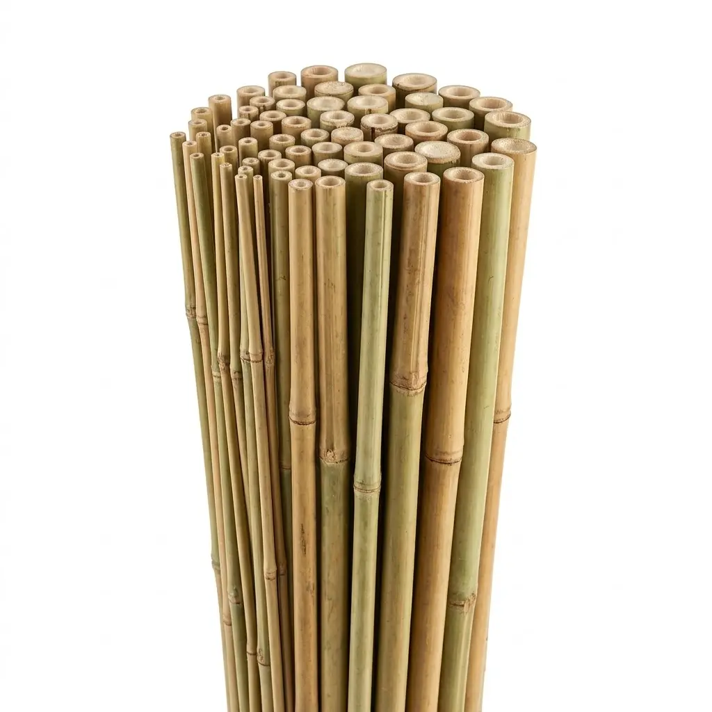 Tutore bamboo cinesi H120 - ø 10/12