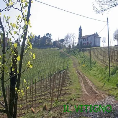 Cordone libero
