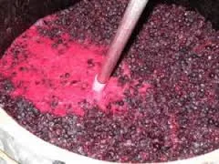 tl_files/catalogo/immagini_vitis_vinifera/Fermentazione_esempio.jpg