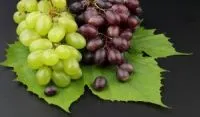 Grappolo d'uva