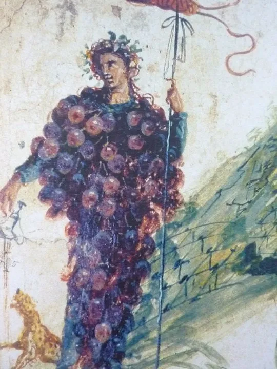 tl_files/catalogo/immagini_vitis_vinifera/grappolo_di_uva_bacco.jpg