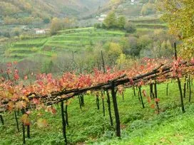 Impianti