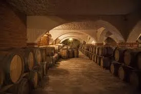 tl_files/catalogo/immagini_vitis_vinifera/lavorazione_della_uva_botti.JPG