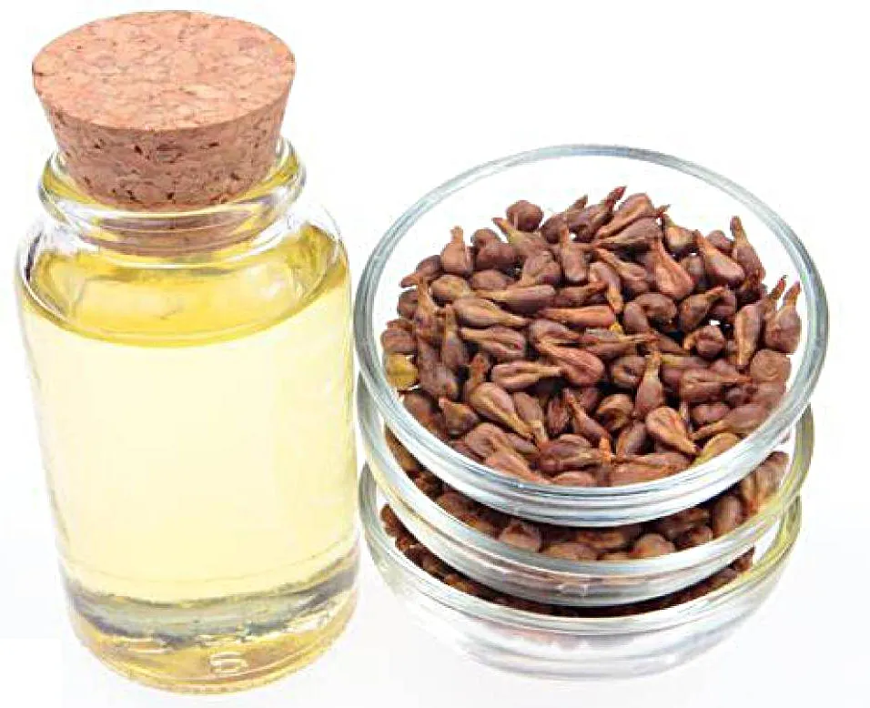 tl_files/catalogo/immagini_vitis_vinifera/semi_di_uva_olio.jpg