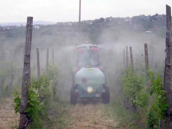 tl_files/catalogo/immagini_vitis_vinifera/trattamenti_del_vigneto_01.jpg