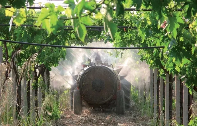 tl_files/catalogo/immagini_vitis_vinifera/trattamenti_del_vigneto_03.jpg