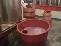 Travaso del vino